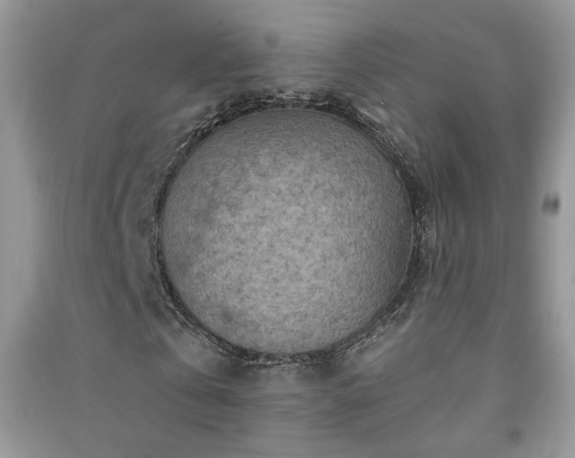 X0000091290769200708101245