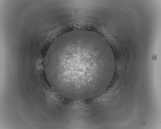 X0000091290770200708101245