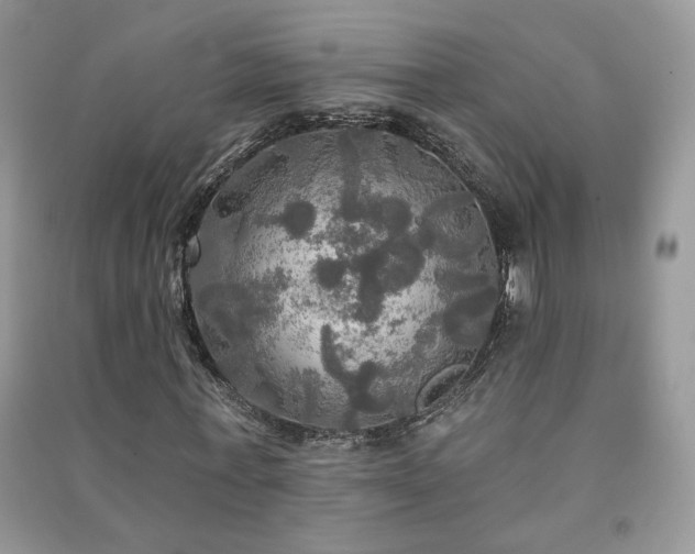 X0000091290771200708101245