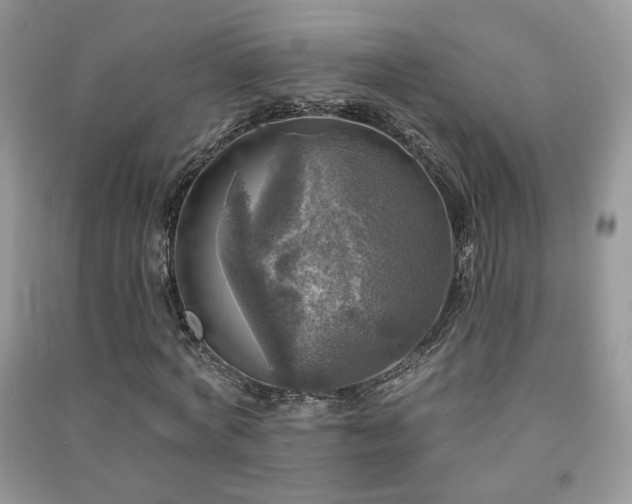 X0000091290772200708101245