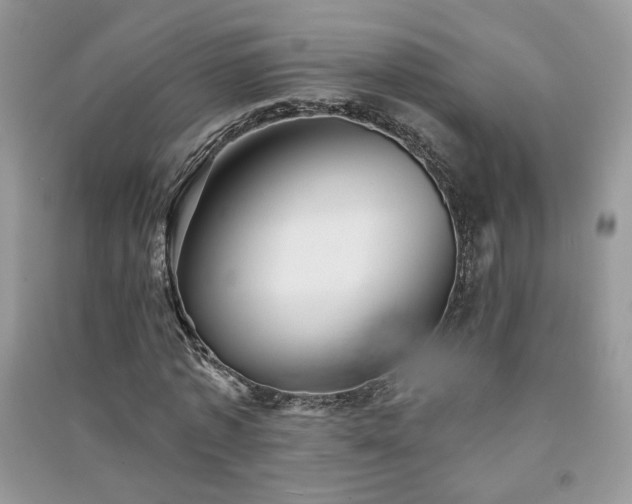 X0000091290773200708101245