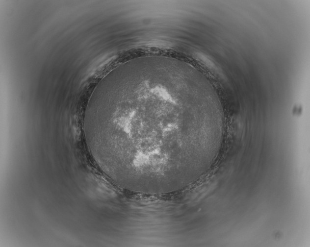 X0000091290774200708101245