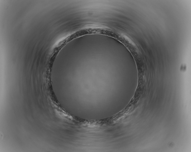 X0000091290775200708101245