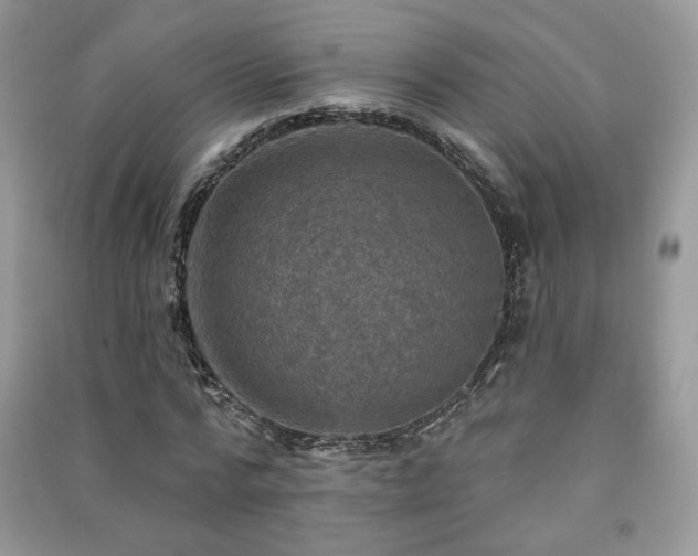 X0000091290776200708101245