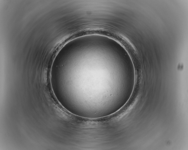 X0000091290777200708101245