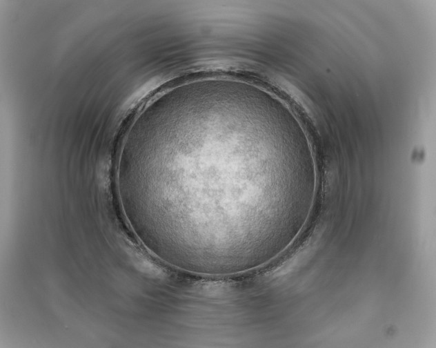 X0000091290778200708101245