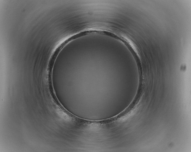 X0000091290779200708101245