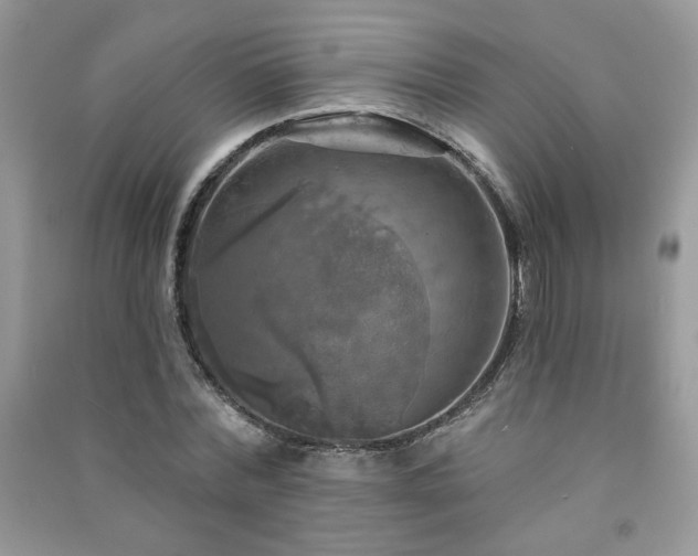 X0000091290780200708101245