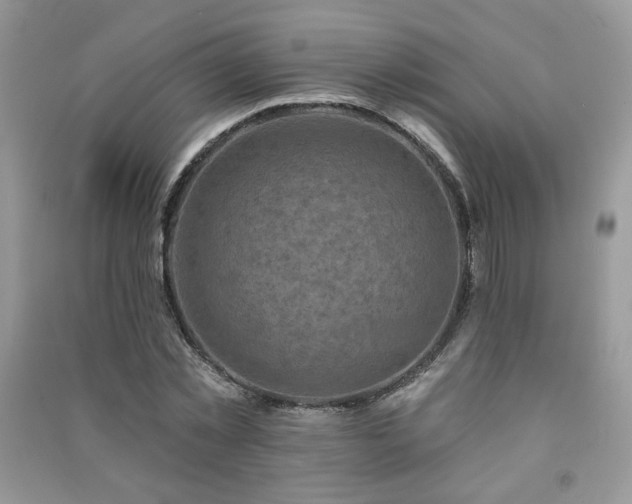 X0000091290781200708101245