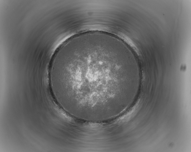 X0000091290782200708101245