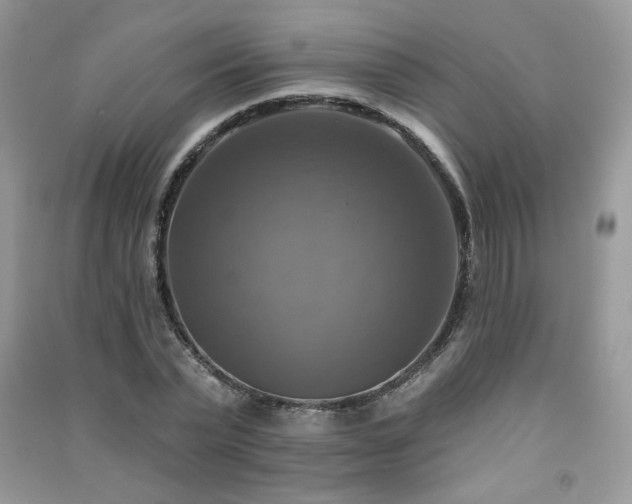 X0000091290783200708101245