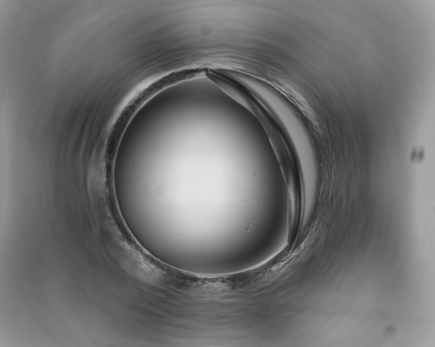 X0000091290784200708101245