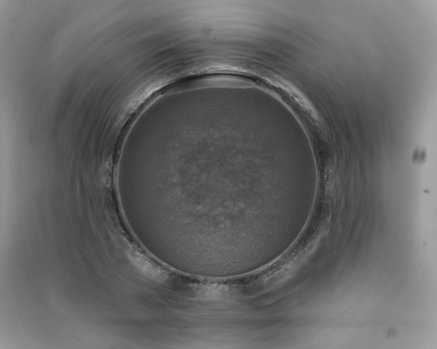 X0000091290785200708101245