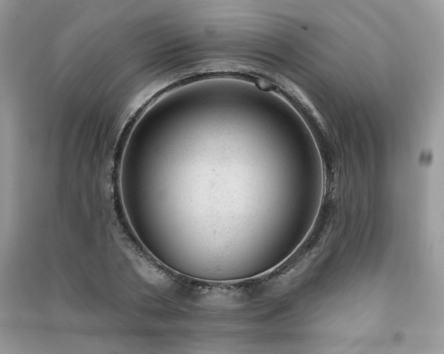 X0000091290786200708101245