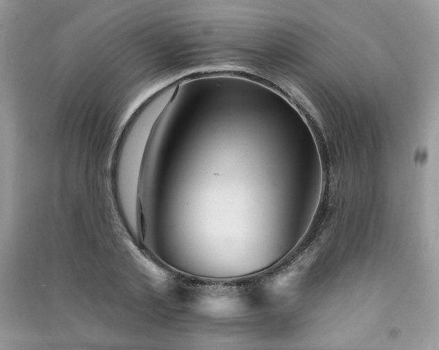 X0000091290789200708101245