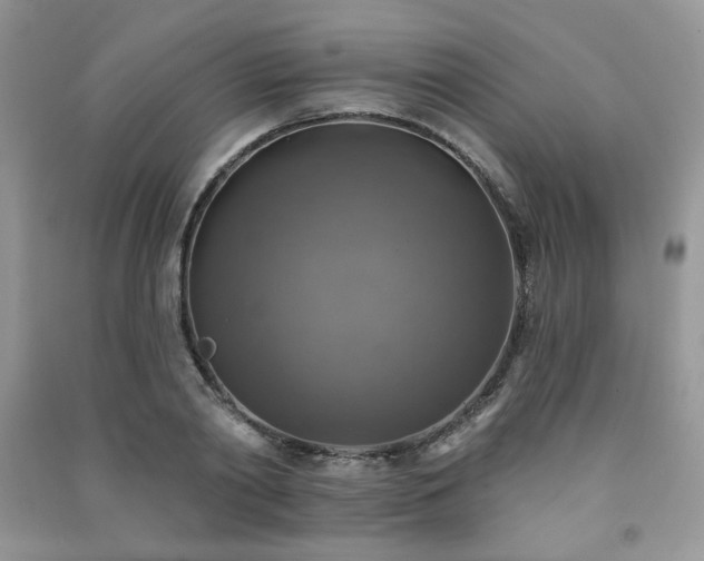 X0000091290790200708101245