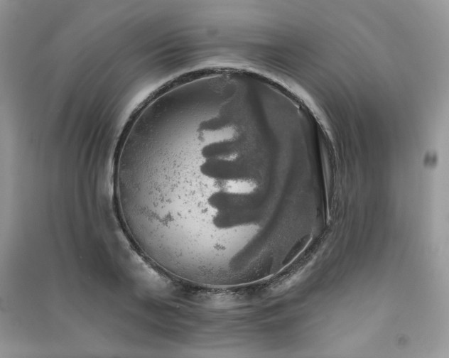 X0000091290791200708101245