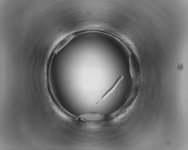 X0000091290792200708101245