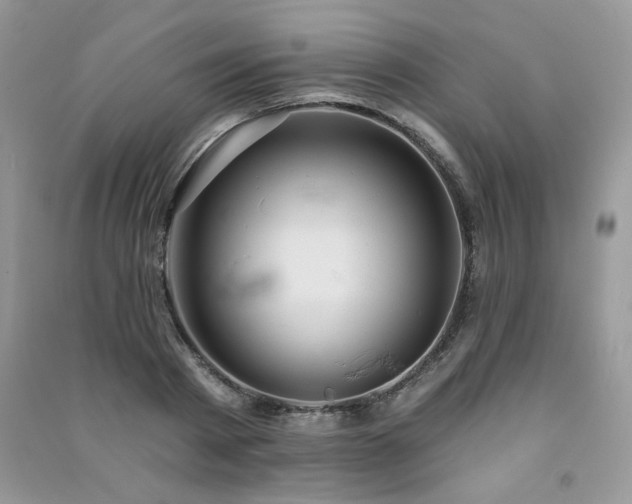 X0000091290793200708101245