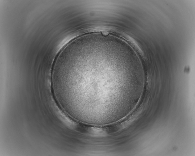 X0000091290794200708101245