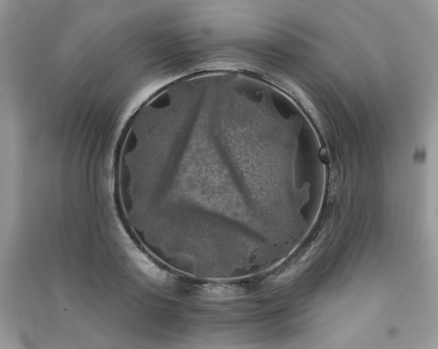 X0000091290795200708101245