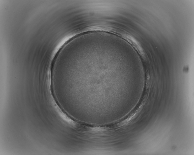 X0000091290796200708101245