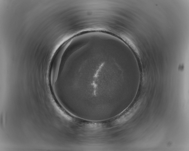 X0000091290797200708101245