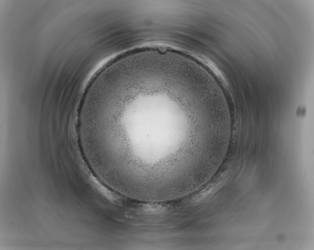 X0000091290799200708101245