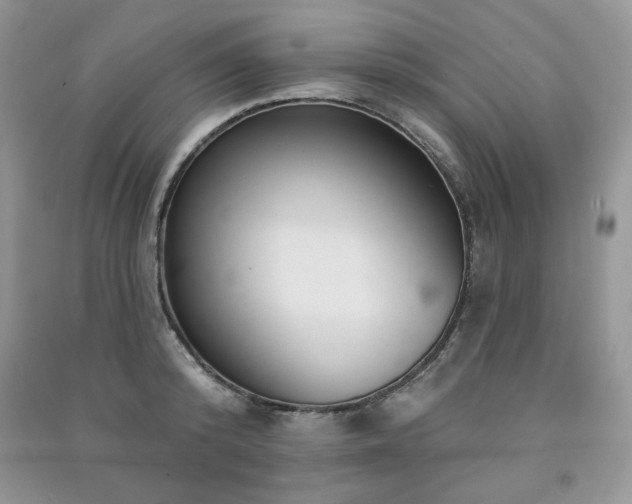 X0000091290800200708101245