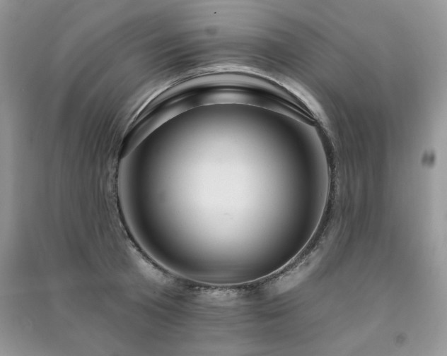 X0000091290801200708101245