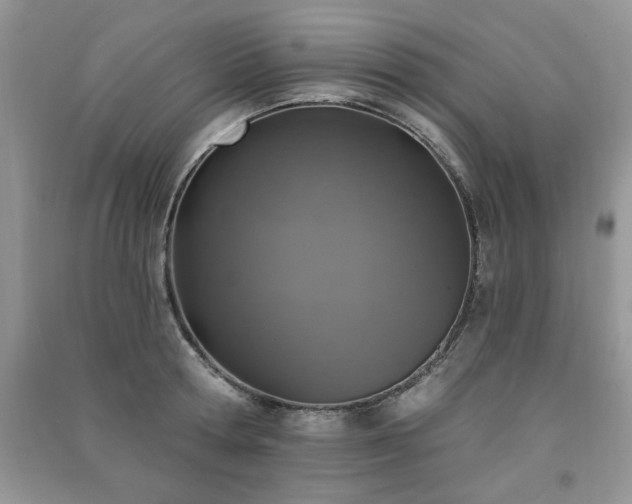 X0000091290802200708101245