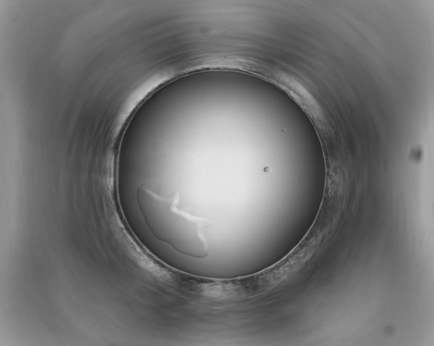 X0000091290804200708101245