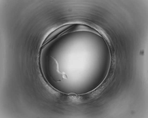 X0000091290805200708101245