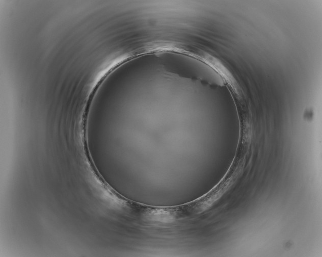 X0000091290806200708101245