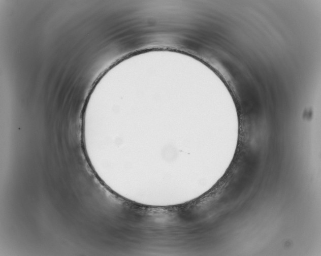 X0000091290807200708101245