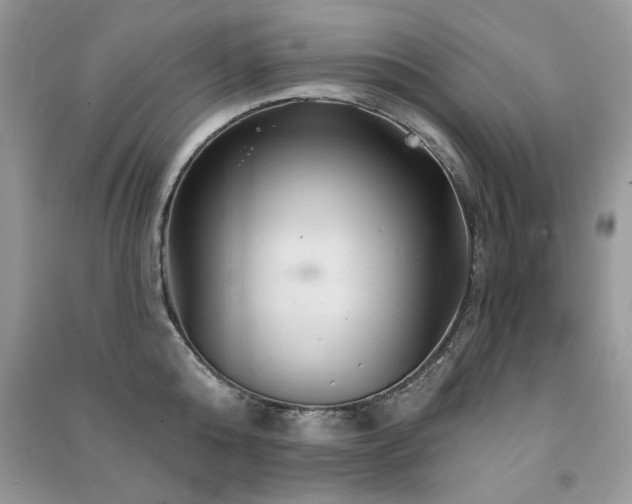 X0000091290808200708101245