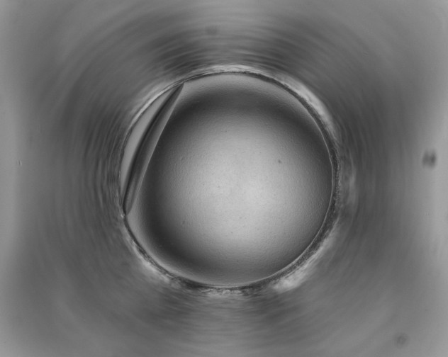 X0000091290809200708101245