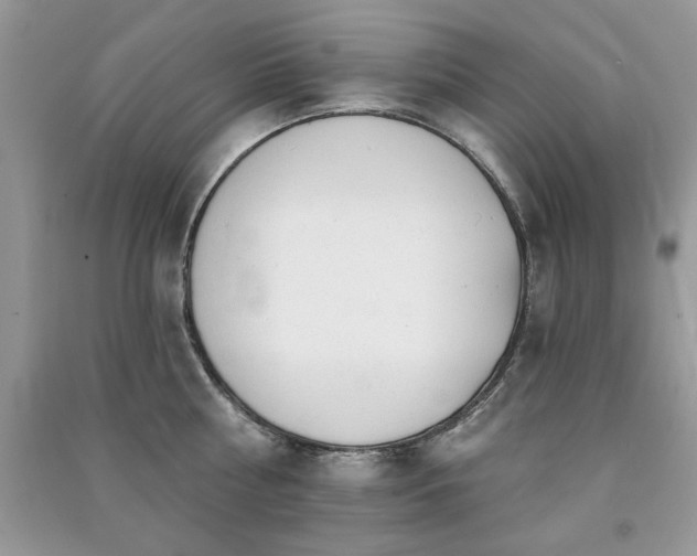 X0000091290810200708101245