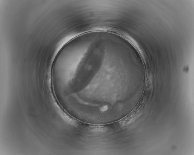 X0000091290811200708101245