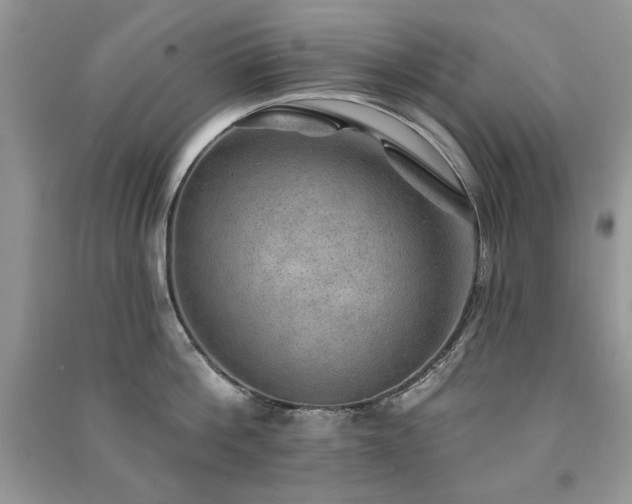 X0000091290812200708101245