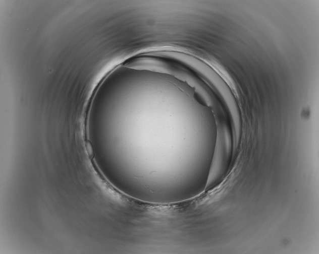 X0000091290813200708101245