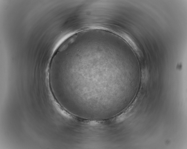 X0000091290814200708101245