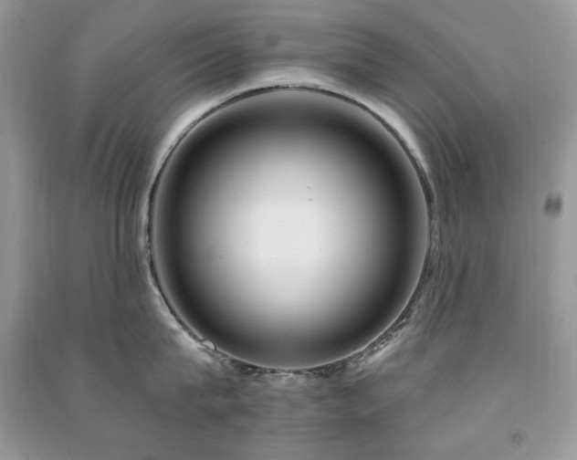 X0000091290815200708101245