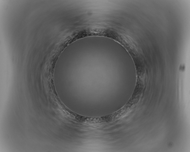 X0000091290817200708101244