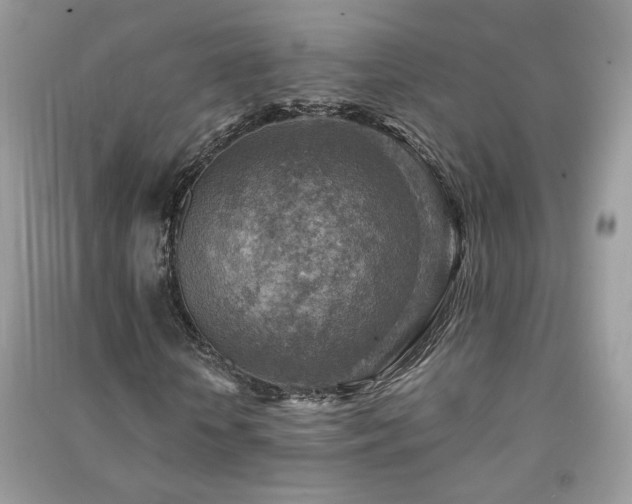 X0000091290818200708101244