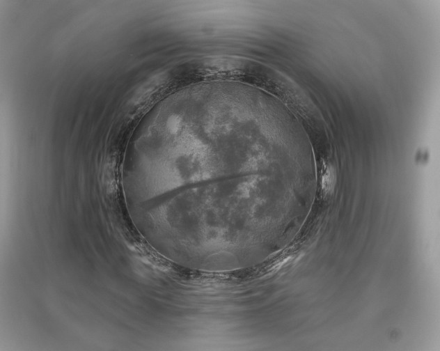 X0000091290819200708101244