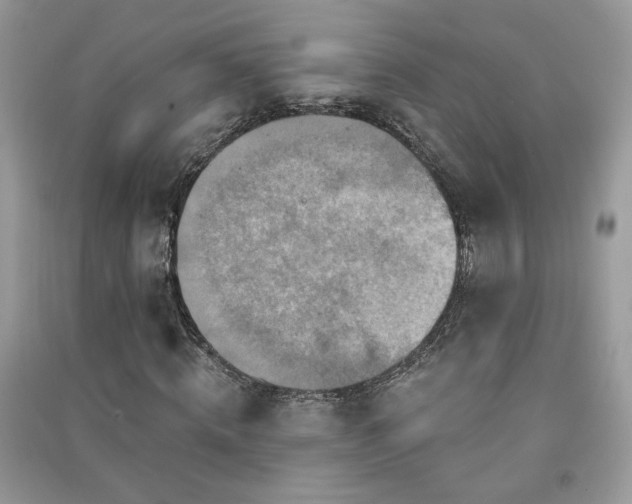 X0000091290820200708101244