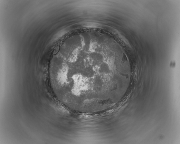 X0000091290821200708101244