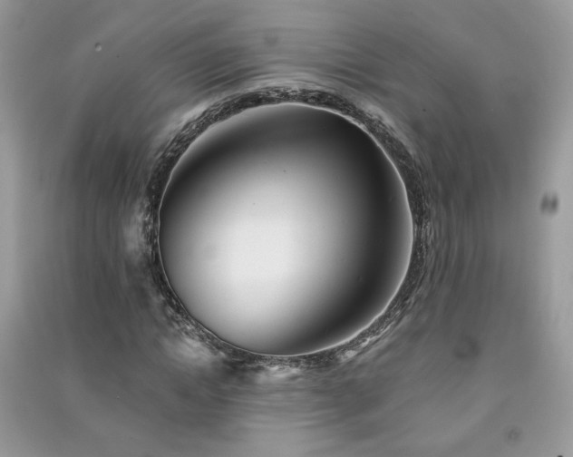 X0000091290822200708101244