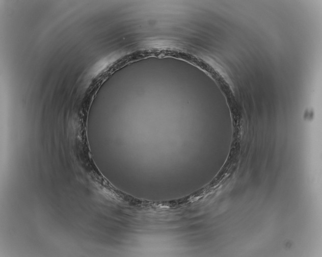 X0000091290823200708101244